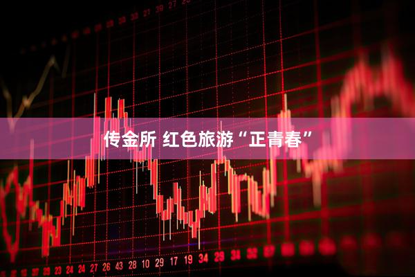 传金所 红色旅游“正青春”